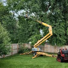 Lawn Irrigation Installation and Maintenance in Tonawanda, NY